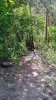 IMG-20180504-WA0021.jpeg