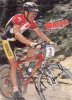 large_Specialized_M2_Team_92_47.jpg