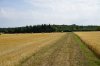 Wiesenweg zwischen Sommer- u. Wintergetreide.JPG