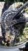 Cannondale Scalpel 3 - New GX-Pop - Sram GX rear derailleur (2) - sm.jpg