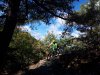 20180915_103624.jpg