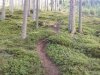 20170922_181603.jpg
