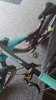20181206_122220.jpg