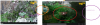 upload_2019-1-3_11-18-23.png