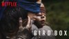 Birdbox-1.jpg