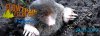 1991751-m6dwon0q2nfk-wir_buddeln_24.3.19large.jpg