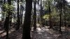 IMG_20190415_192445.jpg