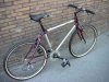 Raleigh Back.jpg