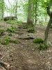 trail (4)mini.JPG