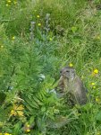 20190815_105724.jpg
