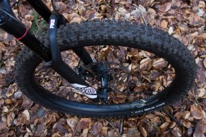 Surly-4.jpg