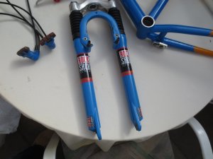 IMG_2417.JPG