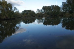 Fischteiche von Meinersen.JPG