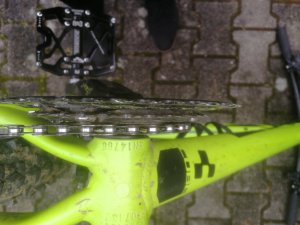 IMG_20191209_135315.jpg