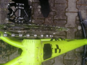 IMG_20191209_135318.jpg