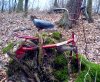 DSC00331.jpg