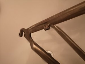 IMG_20200202_161006.jpg