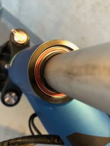 IMG_3626.jpeg