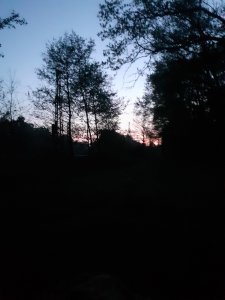 20200426_053146.jpg