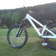 Nessy91