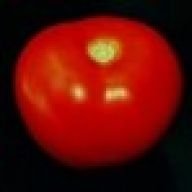 tinitram
