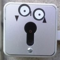 Havi