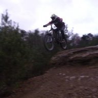 Freeridepig