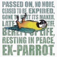 Ex-Parrot