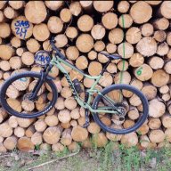 MTB_Harz1