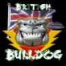 British Bulldog