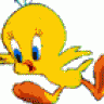 Tweety66