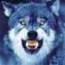 Werwolf13