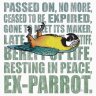 Ex-Parrot