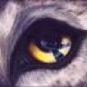 Wolfeye