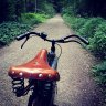 passtreter