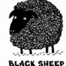 Blacksheep87