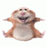 Nuckelhamster