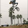 *bmx devil*