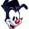 yakko