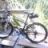 scottie_trier