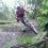 David_DH47