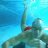 freeswim