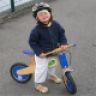 Profilbild von Blitz vom Kitz