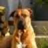 Profilbild von Rockwood