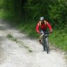 Profilbild von Vectrafahrer