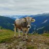 Profilbild von Stefan-S