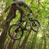 <?= __('Verkäufer') ?> Dirtbiker98