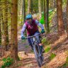 Profilbild von Thebike69