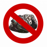 Profilbild von thewerner