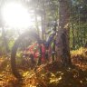 Avatar von MH-Allmountain